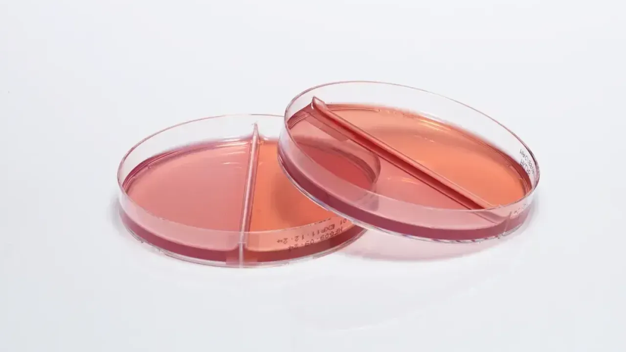 Medexia: Mikrobiyoloji ve Biyoteknolojiye Yüksek Kaliteli Besiyeri Çözümleri